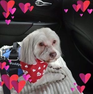 Meet your Posher, Marion